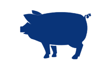 養(yǎng)雞場(chǎng)的糞便如何處理？